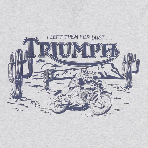 Triumph Dust Graphic Tee Silver