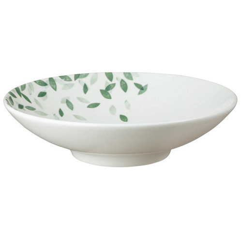 Denby Porcelain Greenhouse Pasta Bowl