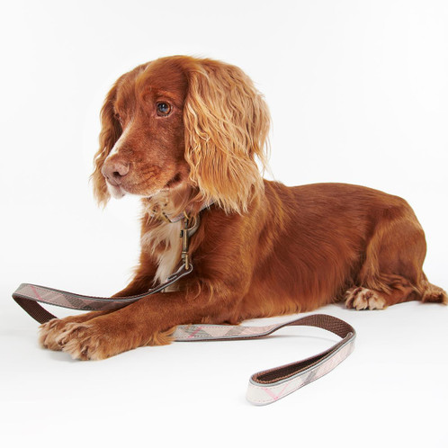 Taupe/Pink Tartan Barbour Reflective Tartan Dog Lead Lifestyle