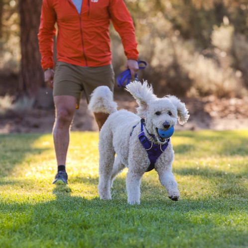 Heliotrope Purple Ruffwear Huckama Dog Toy Lifestyle