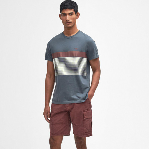 Dark Slate Barbour Mens Braeside Striped Graphic T-Shirt On Model