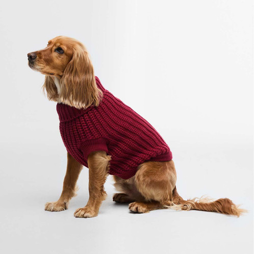 Biking Red Barbour Saltburn Dog Jumper On Dog