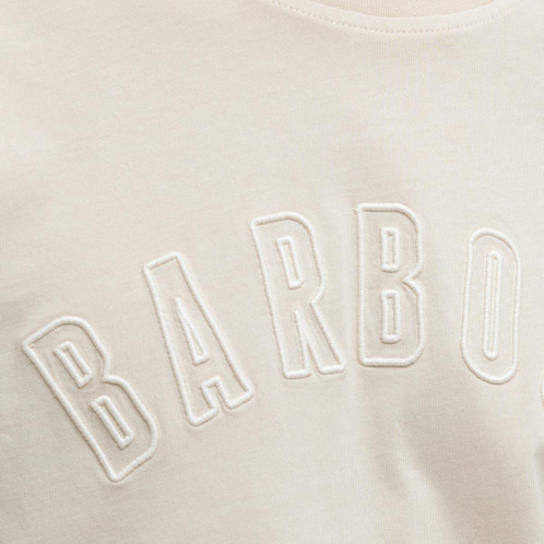 Oatmeal Barbour Mens Banford Relaxed Fit T-shirt Graphic