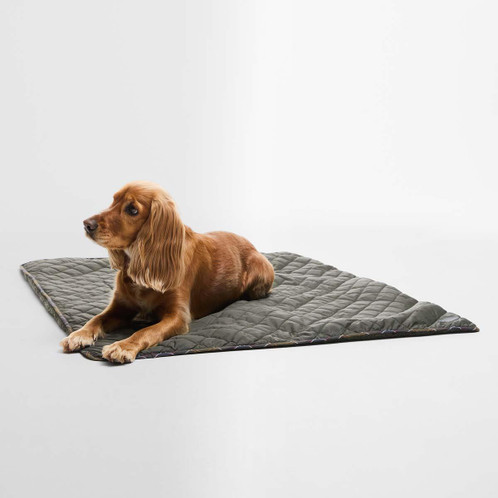 Olive Barbour Dog Quilt and Fleece Blanket With Dog