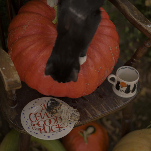 Emma Bridgewater The Wise Witches Black Cats Small Mug LS