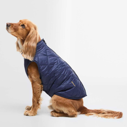 Classic/Navy Reversed Barbour Field Reversible Dog Coat on dog