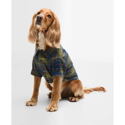 Classic Tartan Barbour Tartan Fortrose Dog Shirt on dog