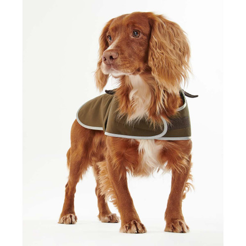 Olive Barbour Waterproof Dog Coat on dog