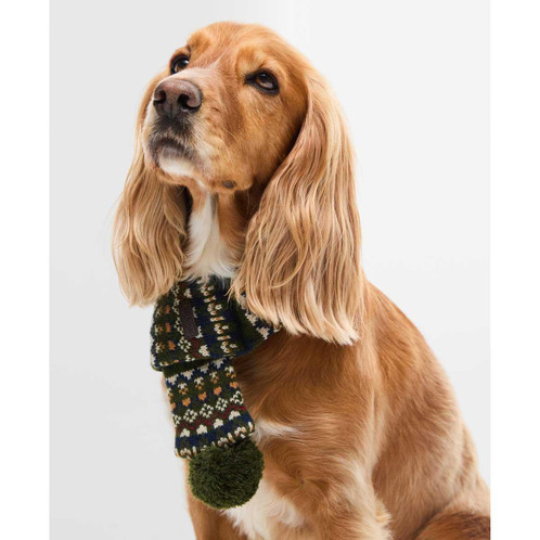 Olive Barbour Marlow Fair Isle Dog Scarf on dog
