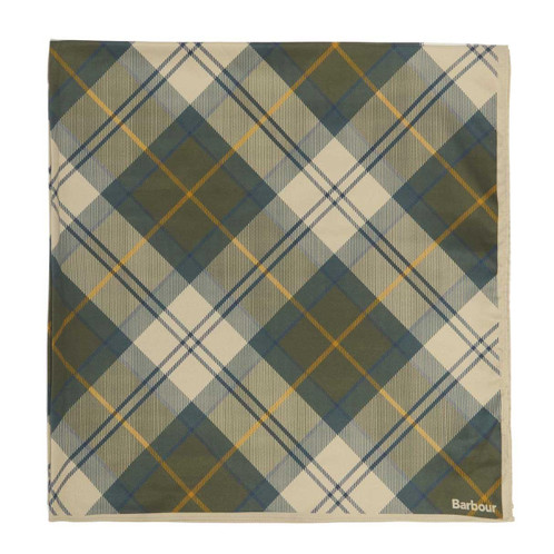 Ancient Tartan Barbour Kinsale Head/Neck Scarf