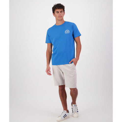 Maui Blue/Platinum Swanndri Mens Mountain Printed T-Shirt On Model