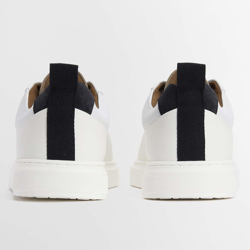 White/Navy/Trench Barbour Mens Stannington Trainer Back