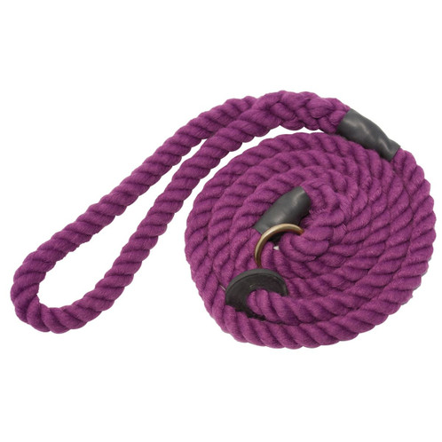 Bisley Elite Slip Dog Lead