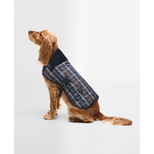 Midnight Oak Barbour Tartan Dog Coat On Dog