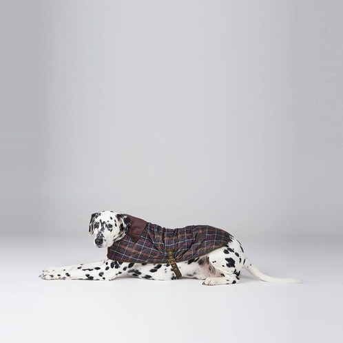 Barbour Tartan Dog Coat Lifestyle