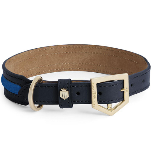 Porto Blue Fairfax & Favor Hampton Dog Collar