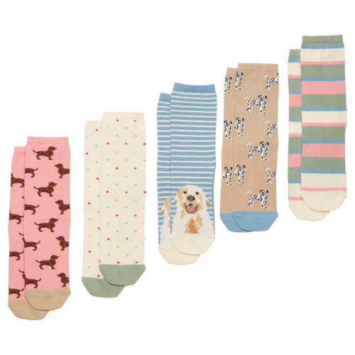Multi/Ecru/Dog Joules Womens Everyday Ankle Socks 5 Pack