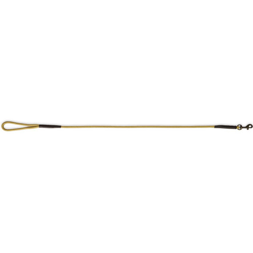 Gold Dubarry Charlie Rope Clip Dog Lead