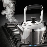 Stellar Stove Top Kettles