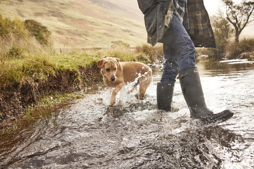 Barbour Wellington Boots