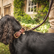 Le Chameau Dog Accessories