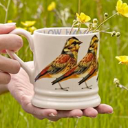 Birds