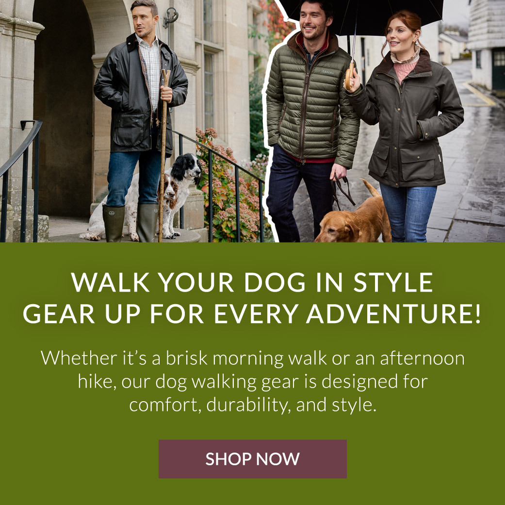 Walk Your Dog in Style – Gear Up for Every Adventure! | Shop Now