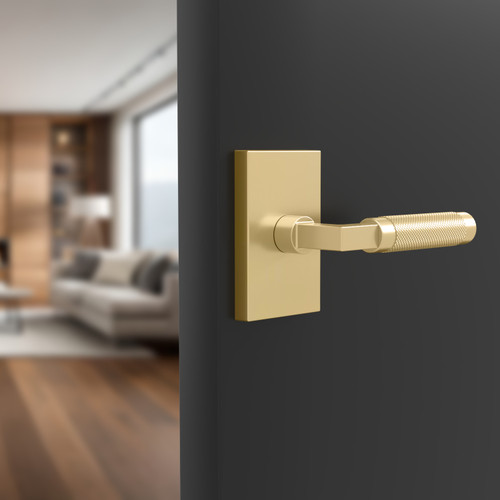 Mega Handles | Door Lever | Ellis Collection