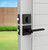 Mega Handles | Modern Door Handles | Prime Collection