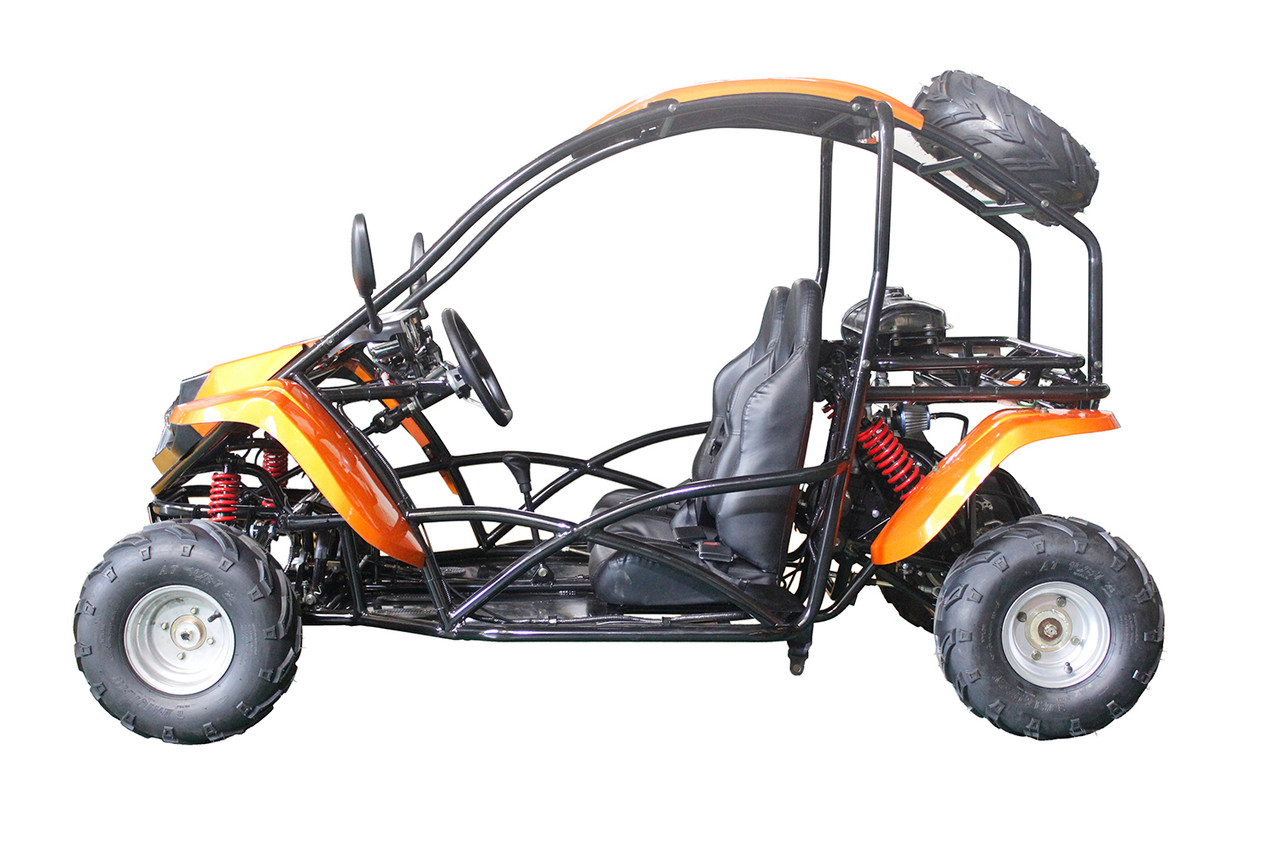 New Vitacci TRex go kart 125 cc automatic w/reverse Mid size 4 stroke Free s/h 