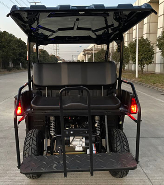 Vitacci Crossfire 200 EFI Golf Cart