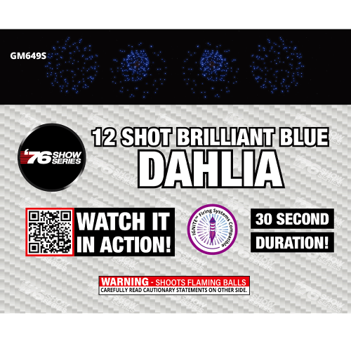 12s R/W/B Dahlia Asst (30 sec) INDIVIDUAL