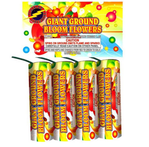 GIANT GROUND BLOOM (6 PACK OF 4)