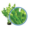 Weco Products Freshwater Pro Series Amazon Ruffled Sword Aquarium Plant Green, 1ea/9 in