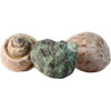 Flukers Hermit Crab Growth Shells Assorted 3 Pk, Medium