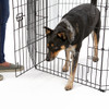 MidWest Contour Wire Exercise Pen with Door for Dogs and Pets -  30" tall - 1 count