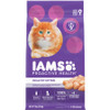 Iams Proactive Health Healthy Kitten Dry Cat Food Chicken 7 Lb