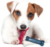 Nylabone DuraChew Triple Pack Red, White and Blue Variety Flavor Regular