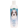 Bio-Groom Groom 'n Fresh Shampoo 12oz