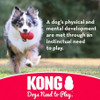KONG Ball With Rope Dog Toy Small 1 count