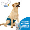 Four Paws Wee-Wee Super Absorbent Disposable Dog Diaper Liners 10 Count One Size