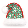 Worthy Dog SANTA HAT SM