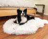 Paw PupRug Faux Fur Orthopedic Dog Bed White Large - 1 count