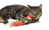 Petstages Green Magic Dynamite Catnip Toy Red One Size