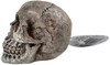 Penn Plax Deco-Replicas Skull Gazer Ornament Assorted Styles