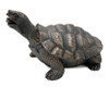 Pondmaster Resin Turtle Spitter 9"L x 3.6"W x 5.6"H