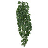Komodo TwoToned Leaf Hanging Plant 1ea/LG, 26 in