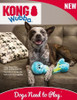 Large - 6 count KONG Wubba Octopus Squeaky Dog Toy Assorted Colors