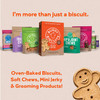 Buddy Biscuits Oven Baked Healthy Dog Treats 3 Flavors 16 oz or 3.5 lb