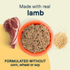 CANIDAE All Life Stages Canned Dog Food Lamb  Rice, 12ea/13 oz